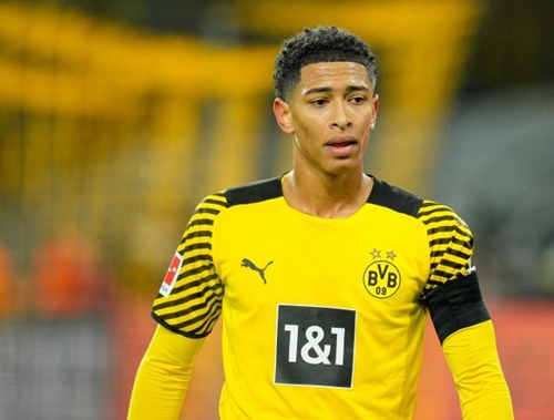 人员结构的 人员结构的