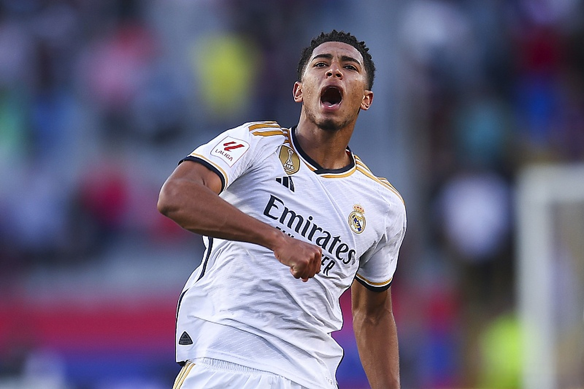 小龙并稳固 小龙并稳固