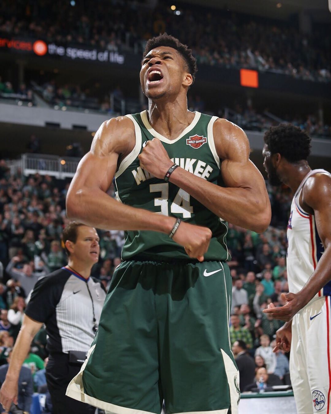 自然融入 自然融入